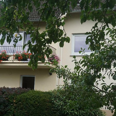 FeWo Goebel Beethovenstraße Cochem Exterior foto