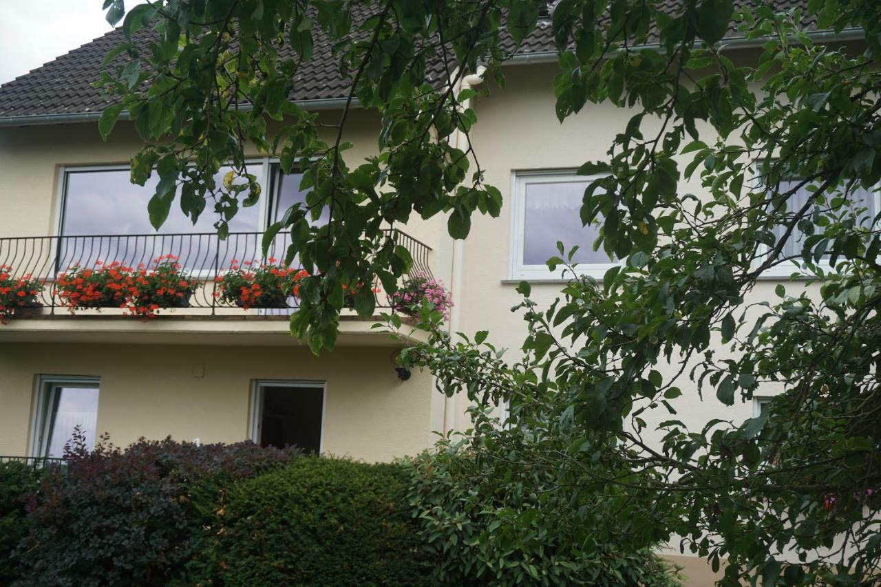 FeWo Goebel Beethovenstraße Cochem Exterior foto